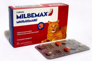 Инструкции за употреба и цената на лекарството milbemax за котки Инструкции за употреба и цената на лекарството milbemax за котки